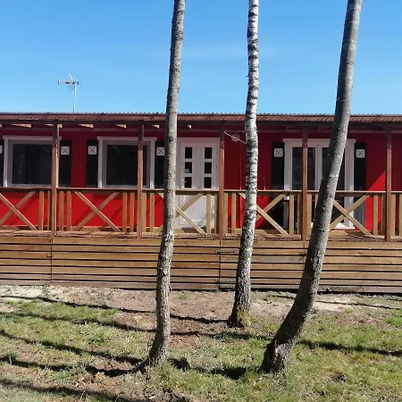 Letniskowy - Czerwony Caloroczny Stegers